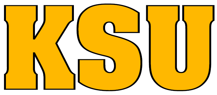 Kennesaw State Owls 0-2011 Wordmark Logo diy fabric transfer